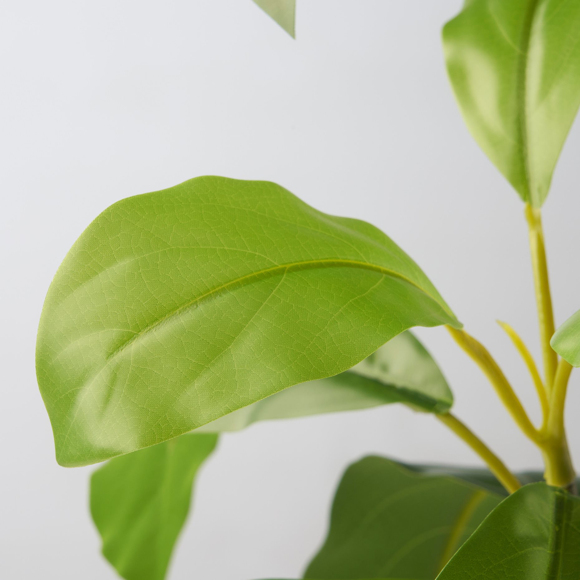 FEJKA, τεχνητό φυτό σε γλάστρα/εσωτερικού/εξωτερικού χώρου/Αβοκάντο, 15 cm, 105.716.93