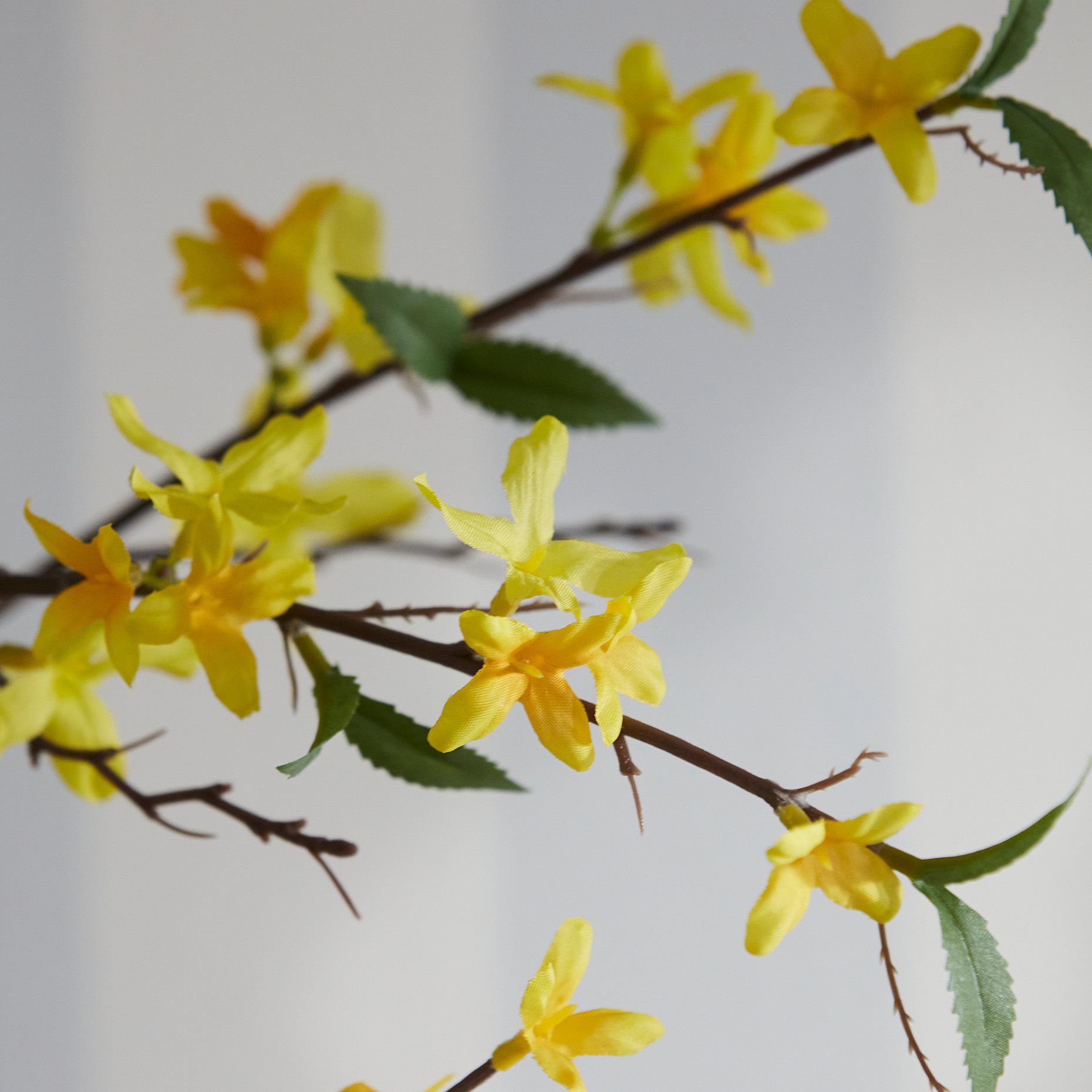 SMYCKA, artificial spray in/outdoor/forsythia, 70 cm, 105.937.94
