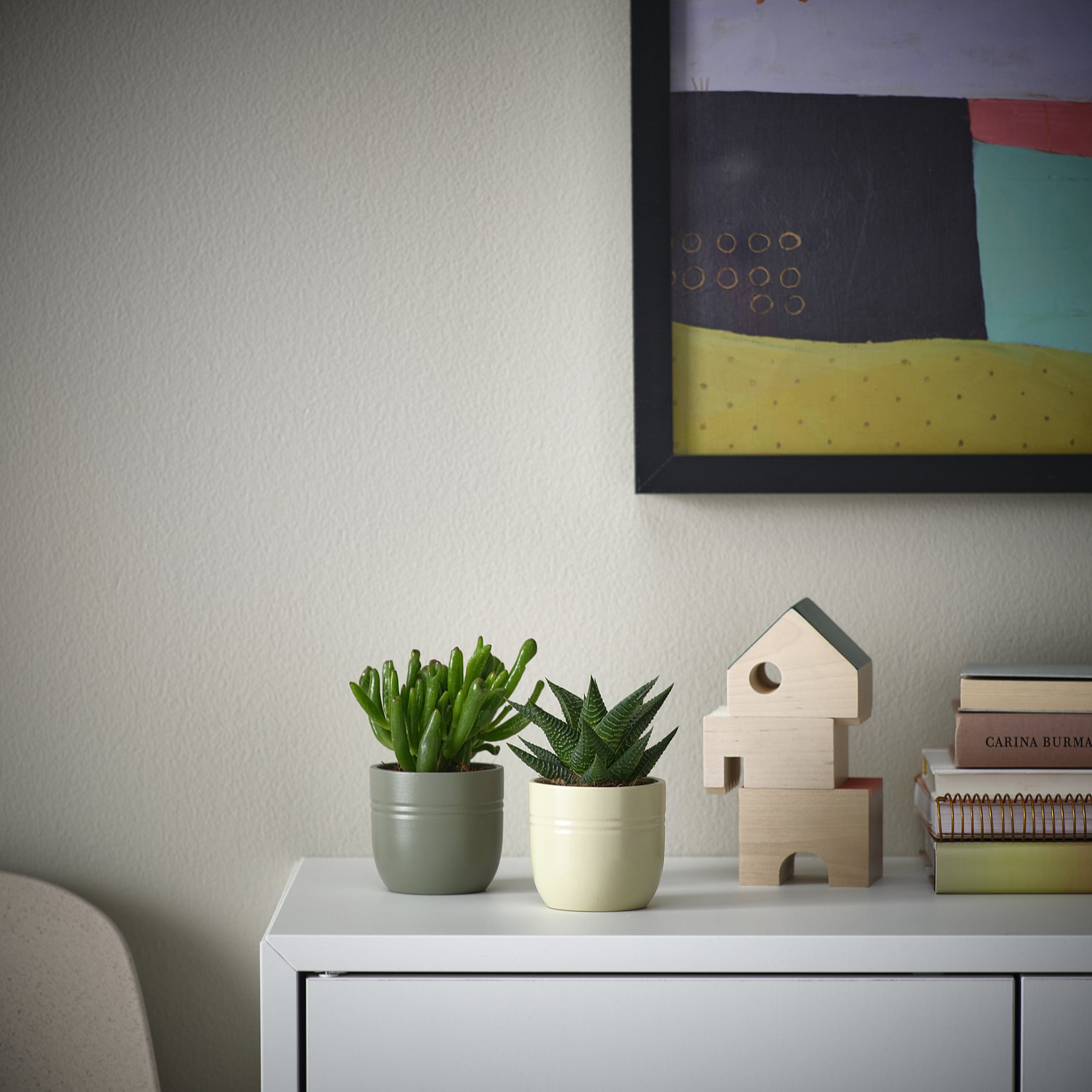 SUCCULENT, potted plant with pot/Succulent, 6 cm, 105.986.83