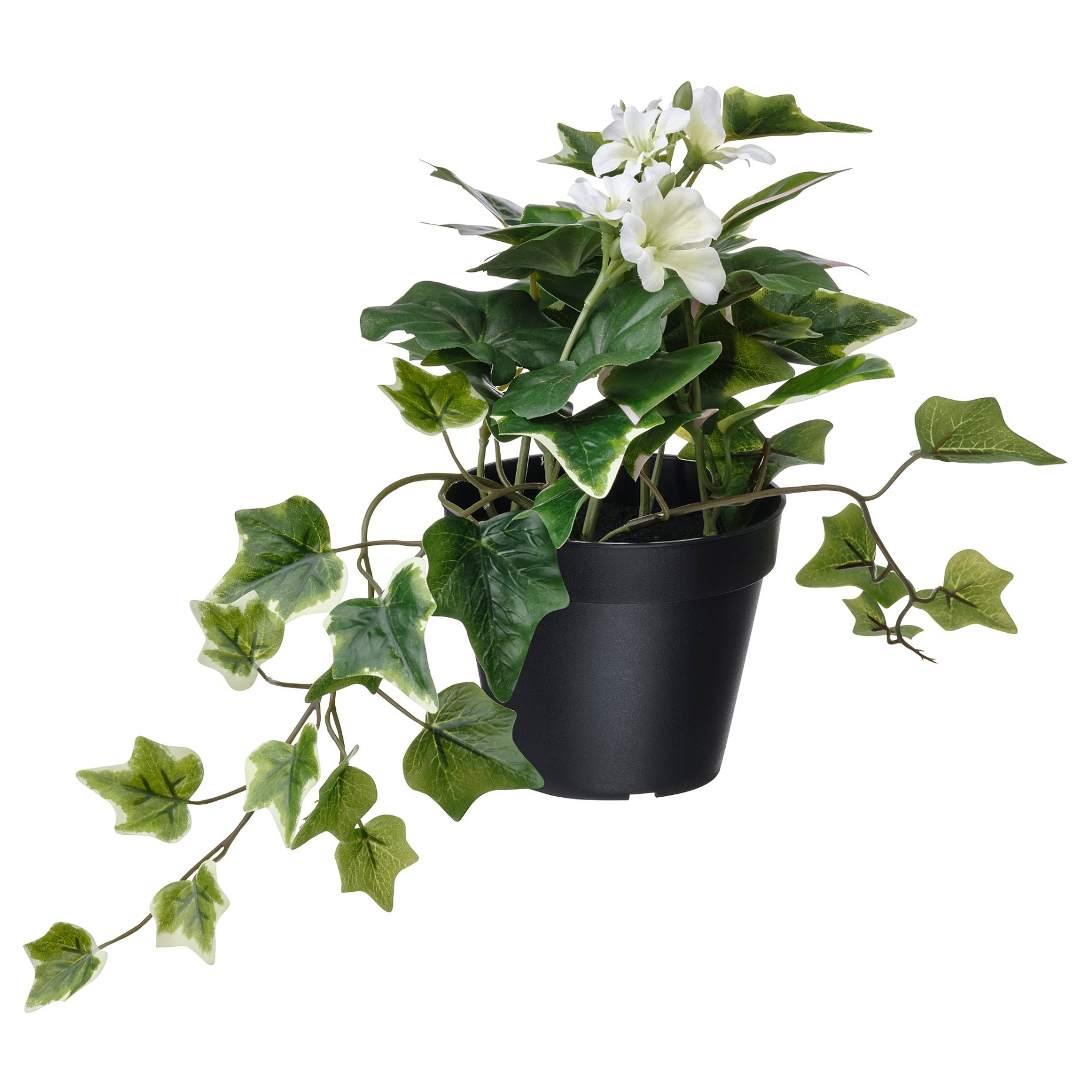 FEJKA, artificial potted plant arrangement/in/outdoor, 12 cm, 205.380.09