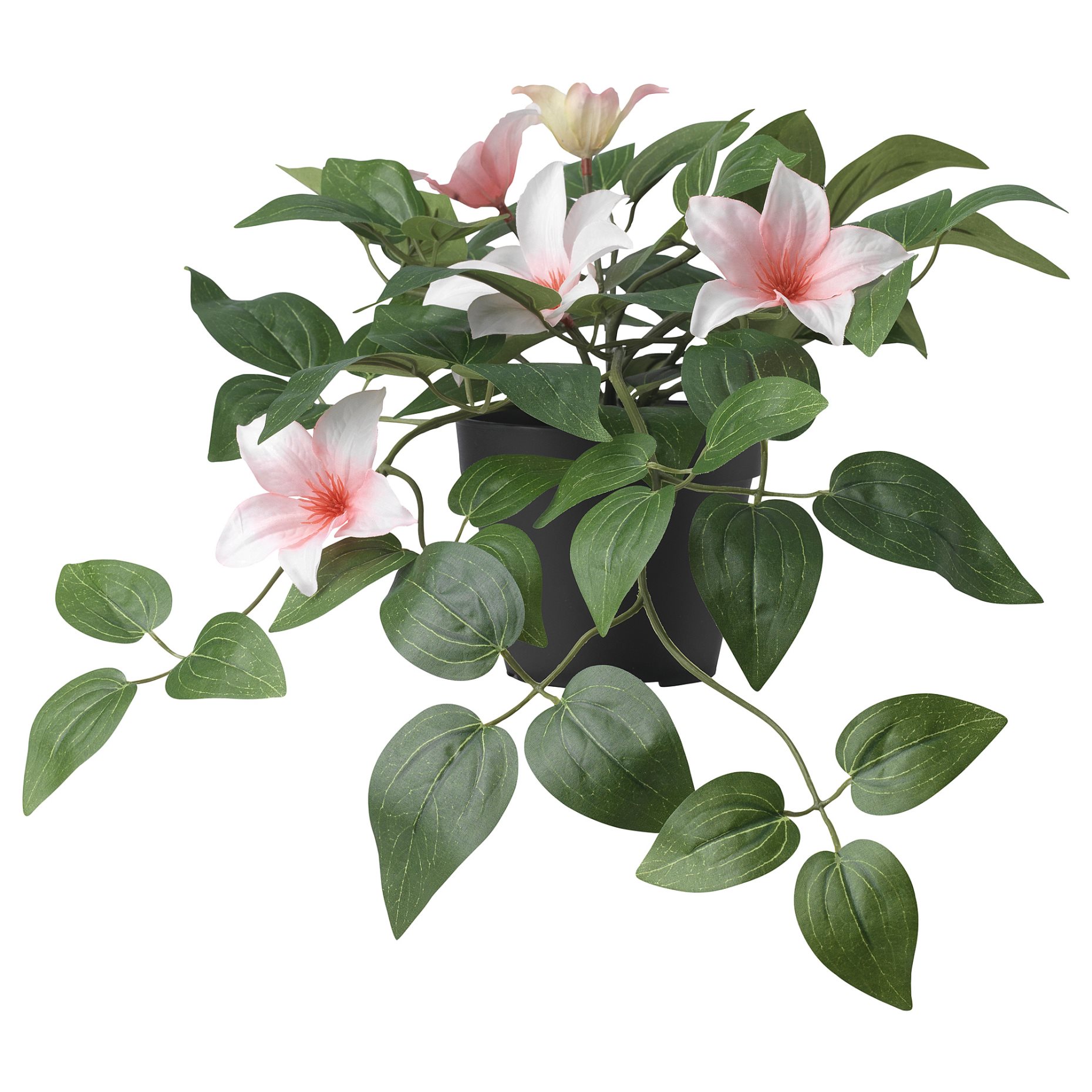 FEJKA, artificial potted plant in/outdoor clematis/hanging, 12 cm, 205.596.76