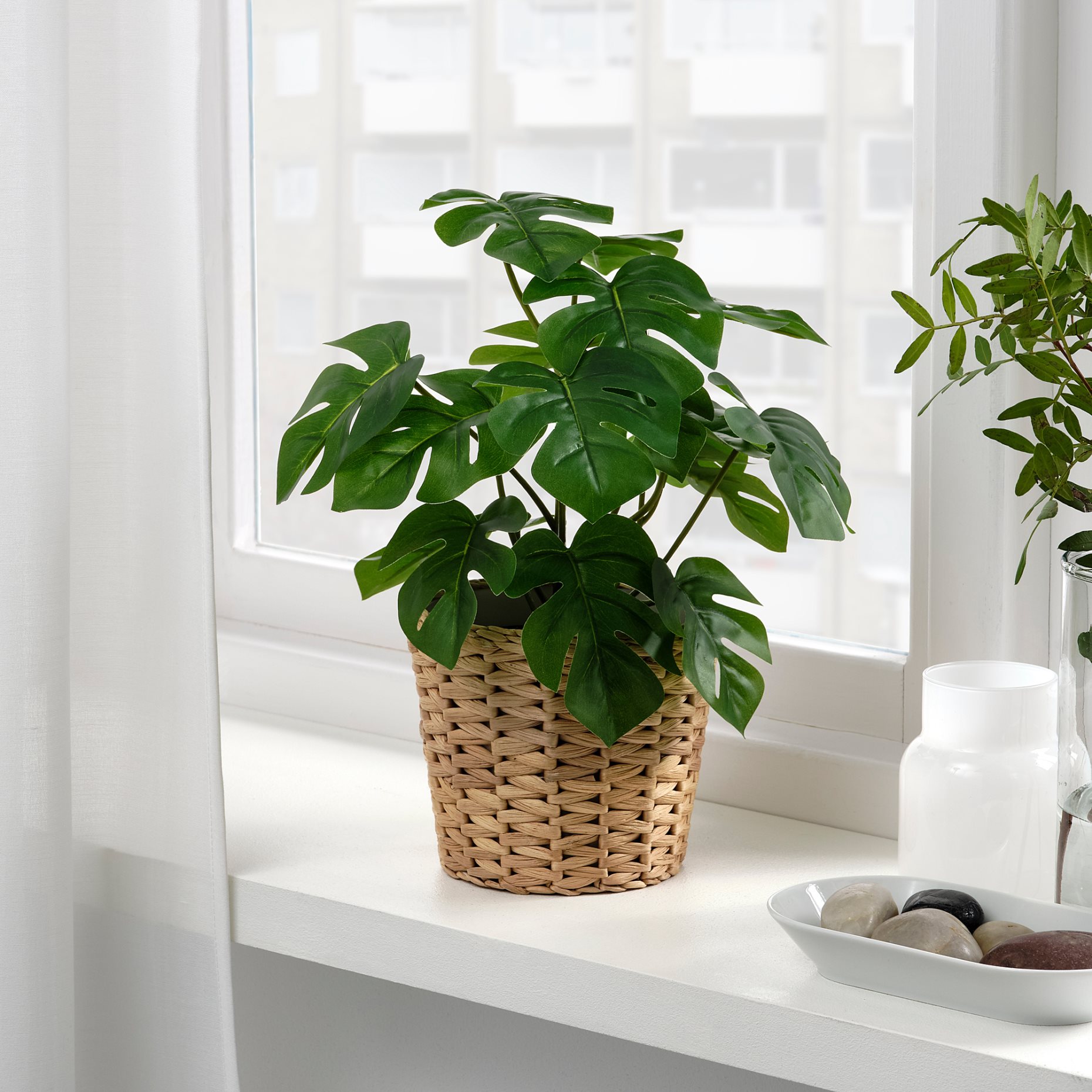 FEJKA, artificial potted plant in/outdoor Monstera,, 304.933.50
