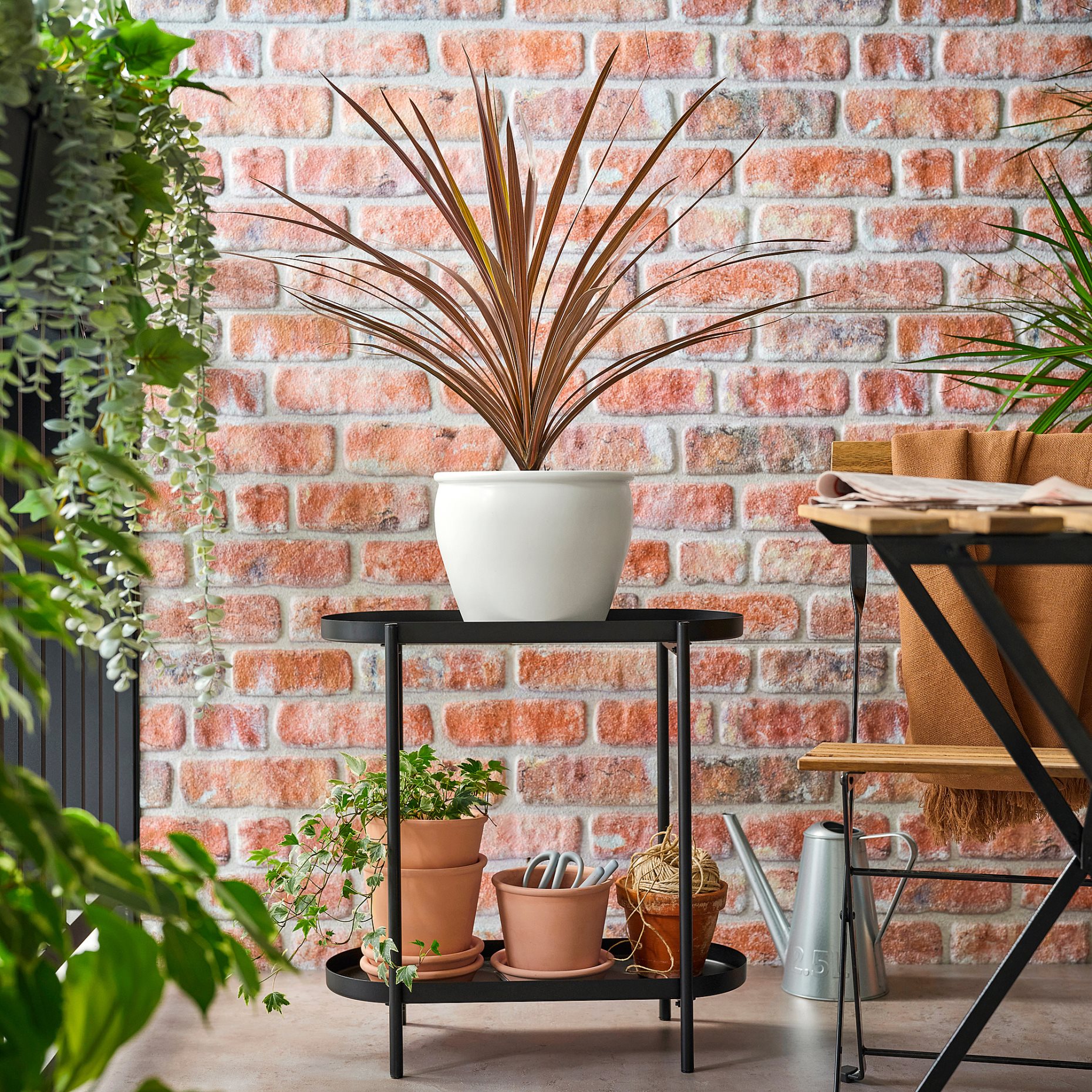 CORDYLINE INDIV, φυτό σε γλάστρα/δράκαινα, 17 cm, 306.041.31