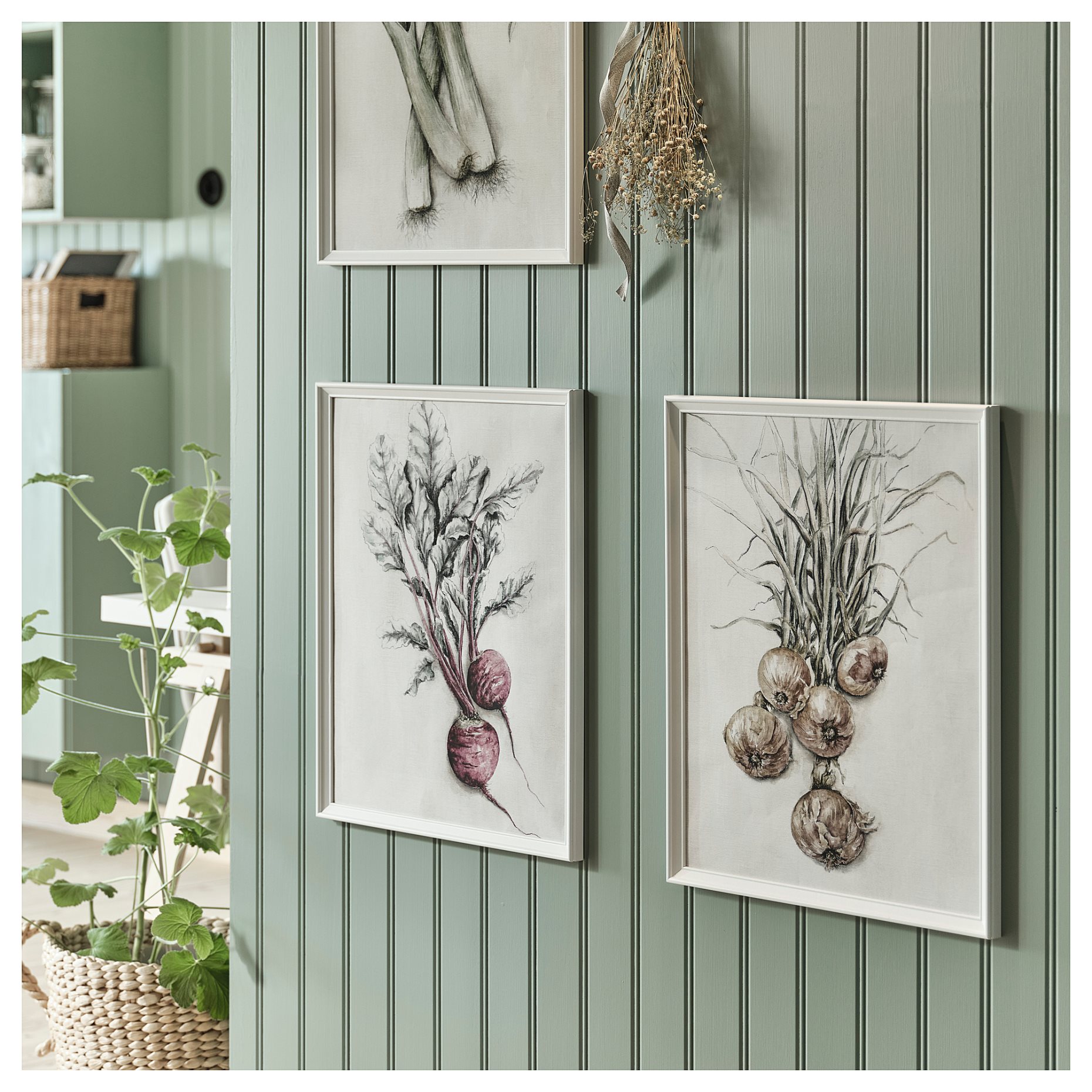 KNOPPÄNG, κορνίζα, 40x50 cm, 404.272.94