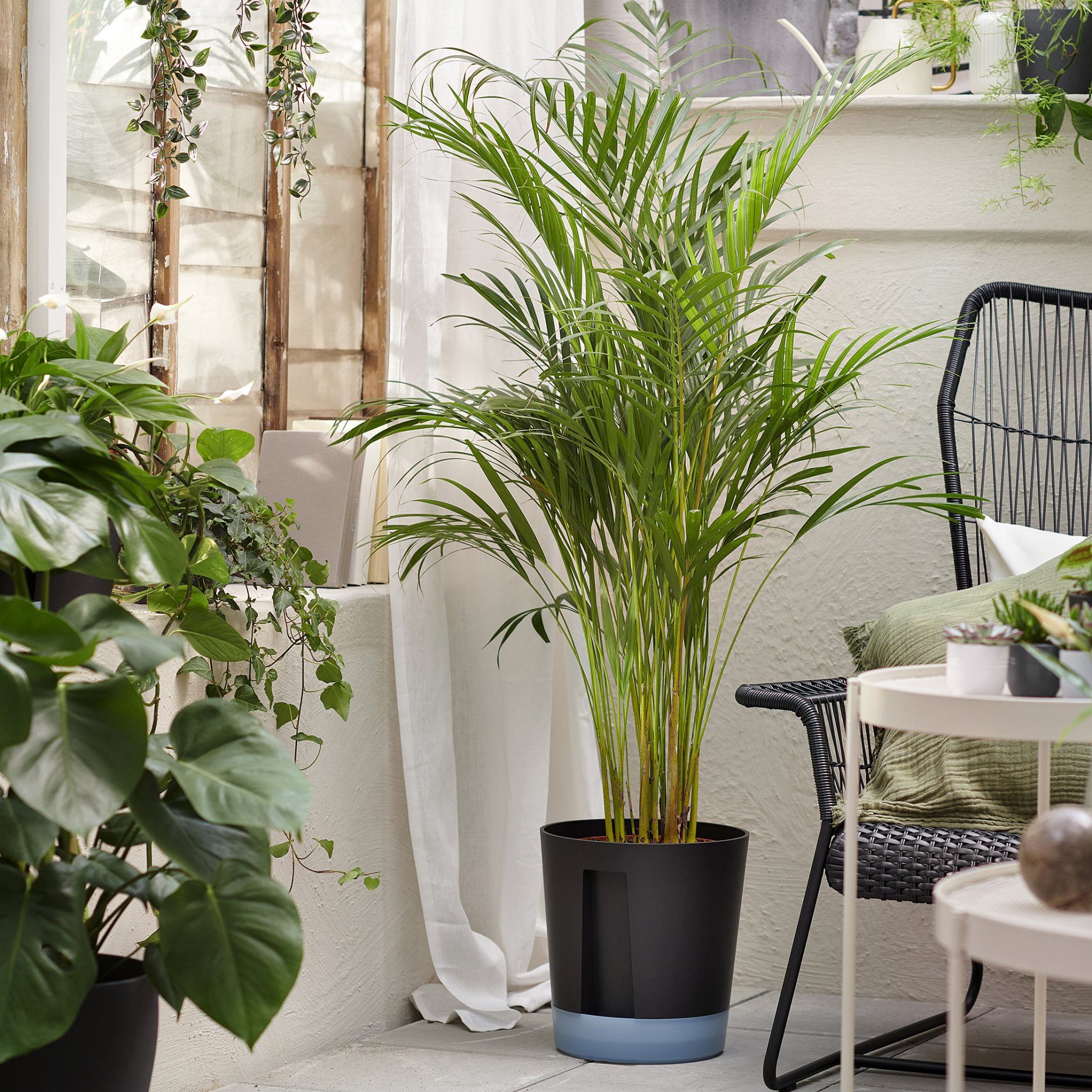 VÅRDTRÄD, self-watering plant pot in/outdoor, 24 cm, 405.708.66