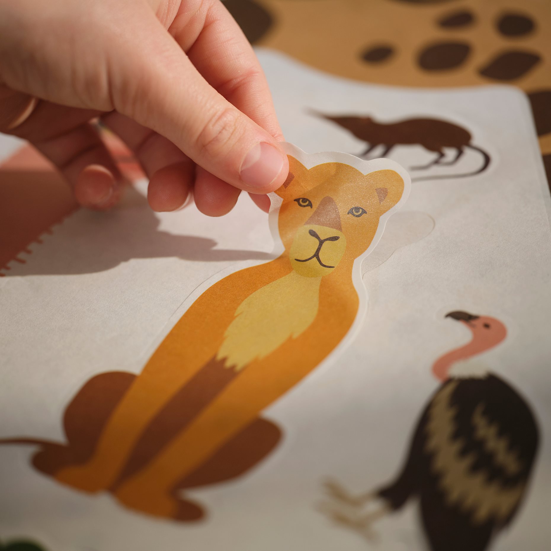 SANDLÖPARE, διακοσμητικά αυτοκόλλητα/ζώα στη σαβάνα, σετ 3 τεμ., 406.032.25