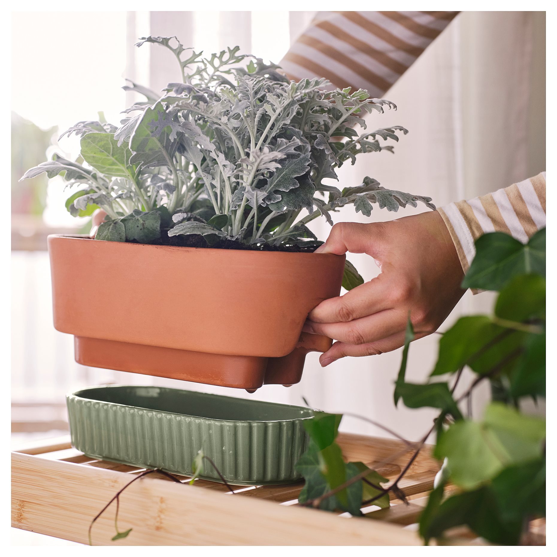 DAKSJUS, self-watering plant pot, 27x13 cm, 505.670.95