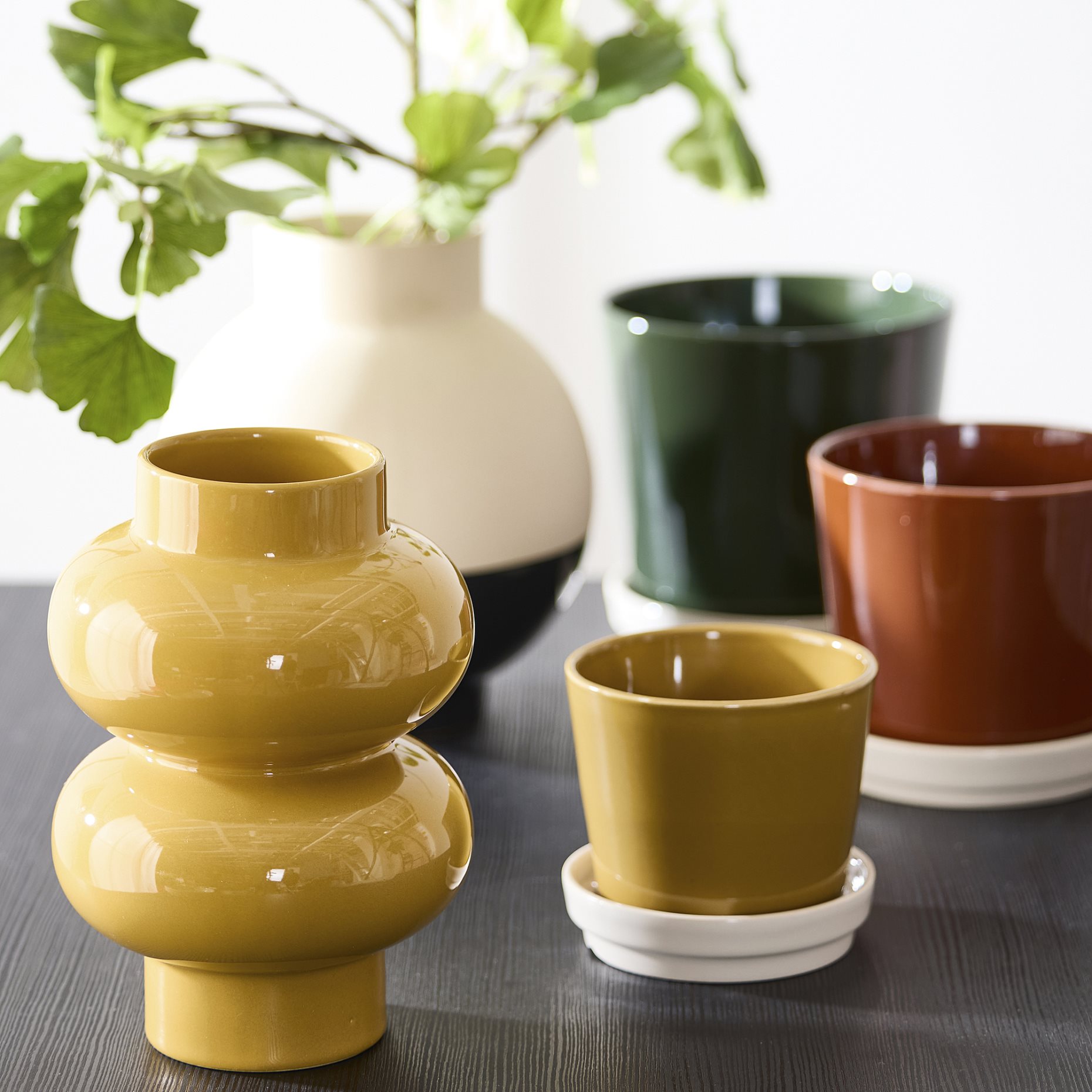KLOTLÖNN, plant pot with saucer in/outdoor, 9 cm, 505.982.71