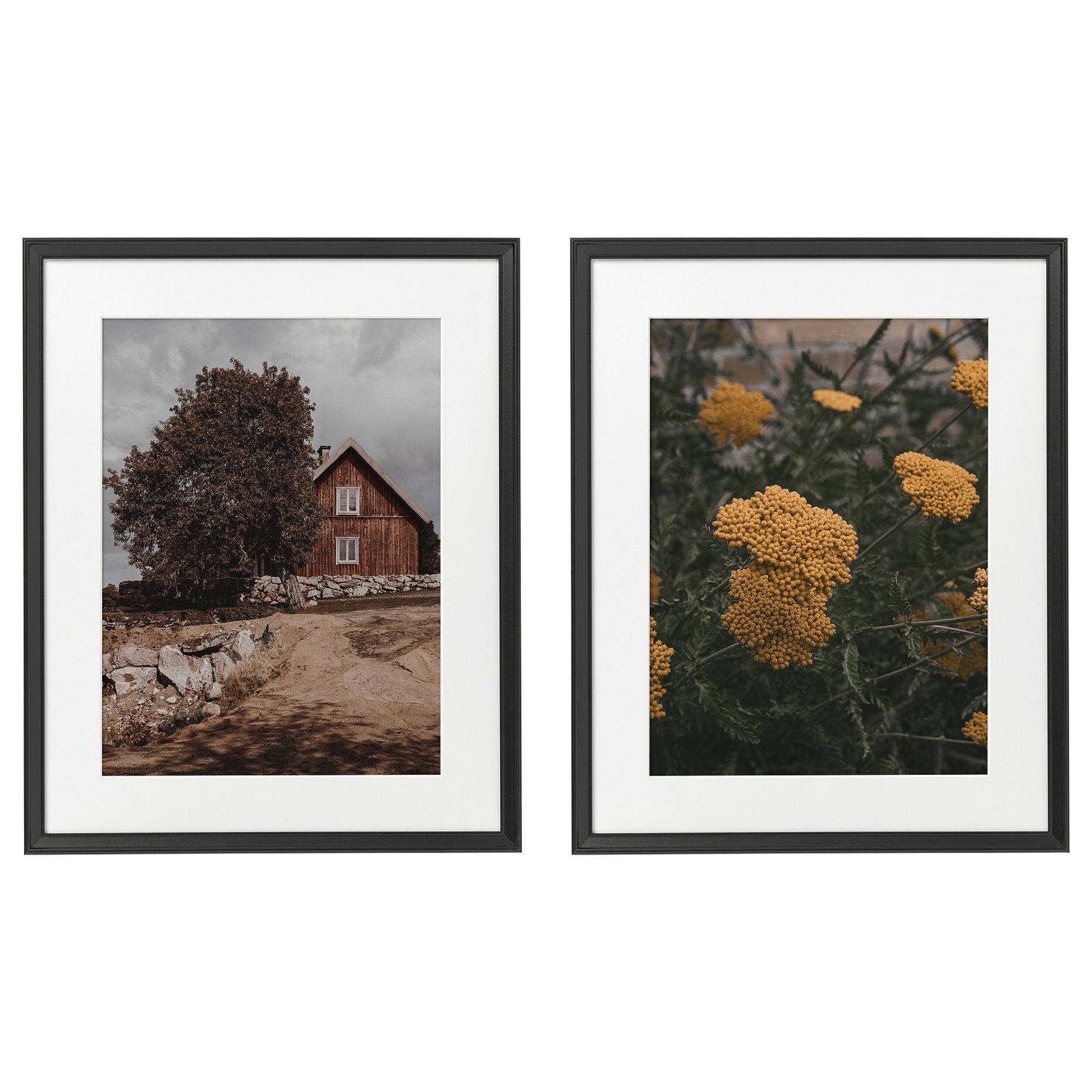 KNOPPÄNG, frame with poster/countryside living, 40x50 cm, 506.018.67