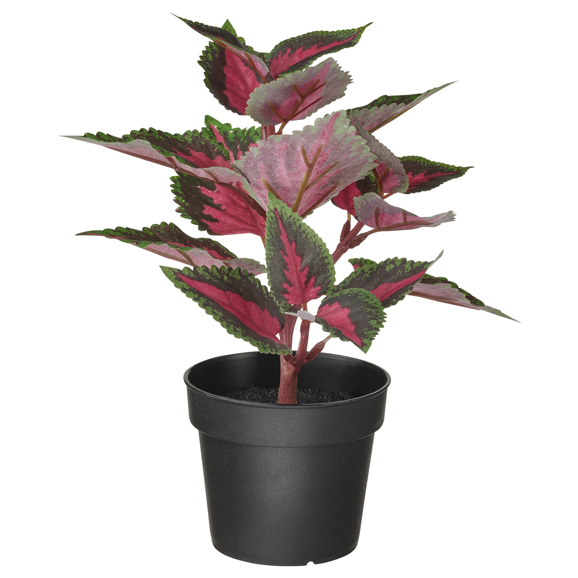 FEJKA, artificial potted plant in/outdoor/Painted nettle, 9 cm, 605.229.83