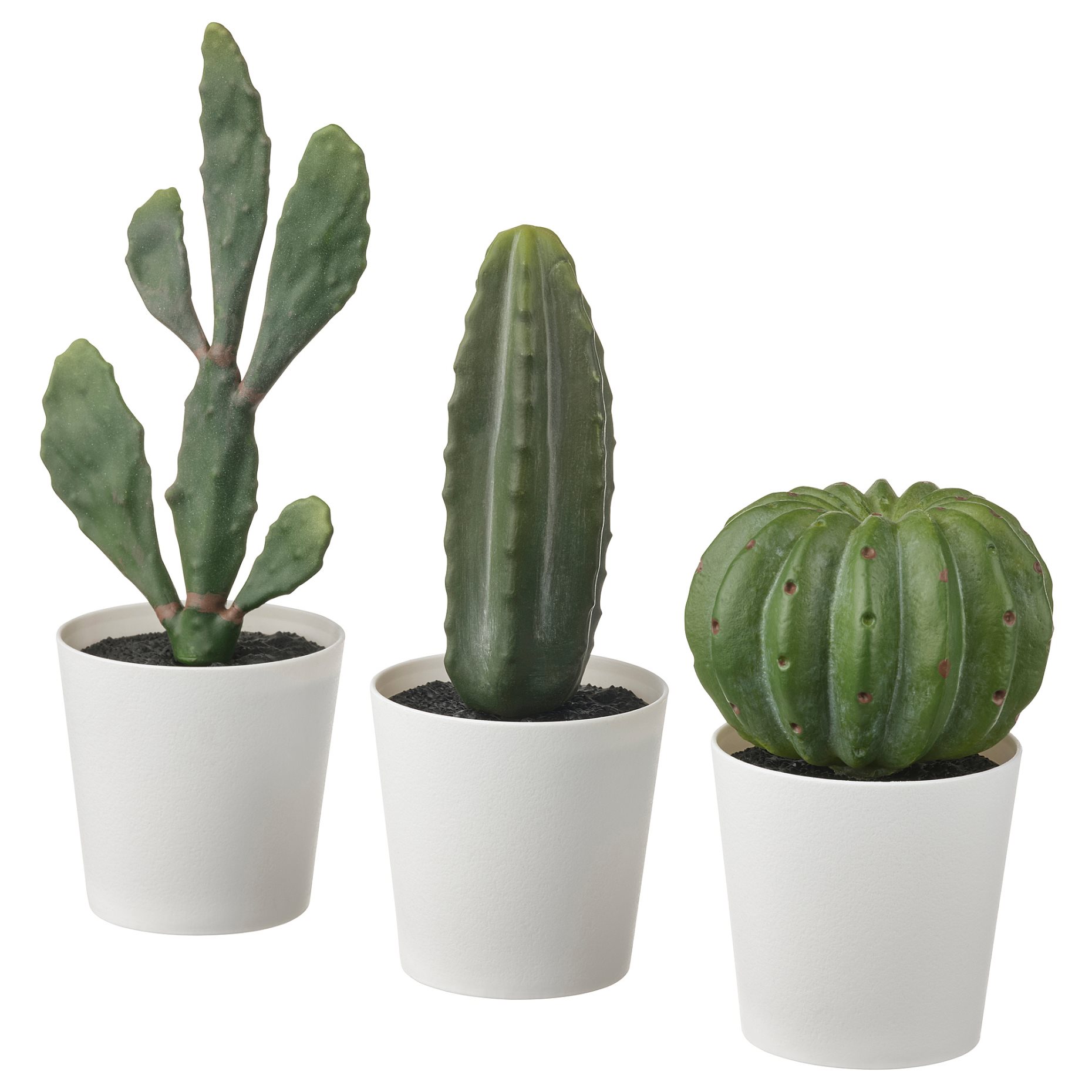 FEJKA, artifi potted plant with pot in/outdoor/cactus set of 3, 6 cm, 605.229.97