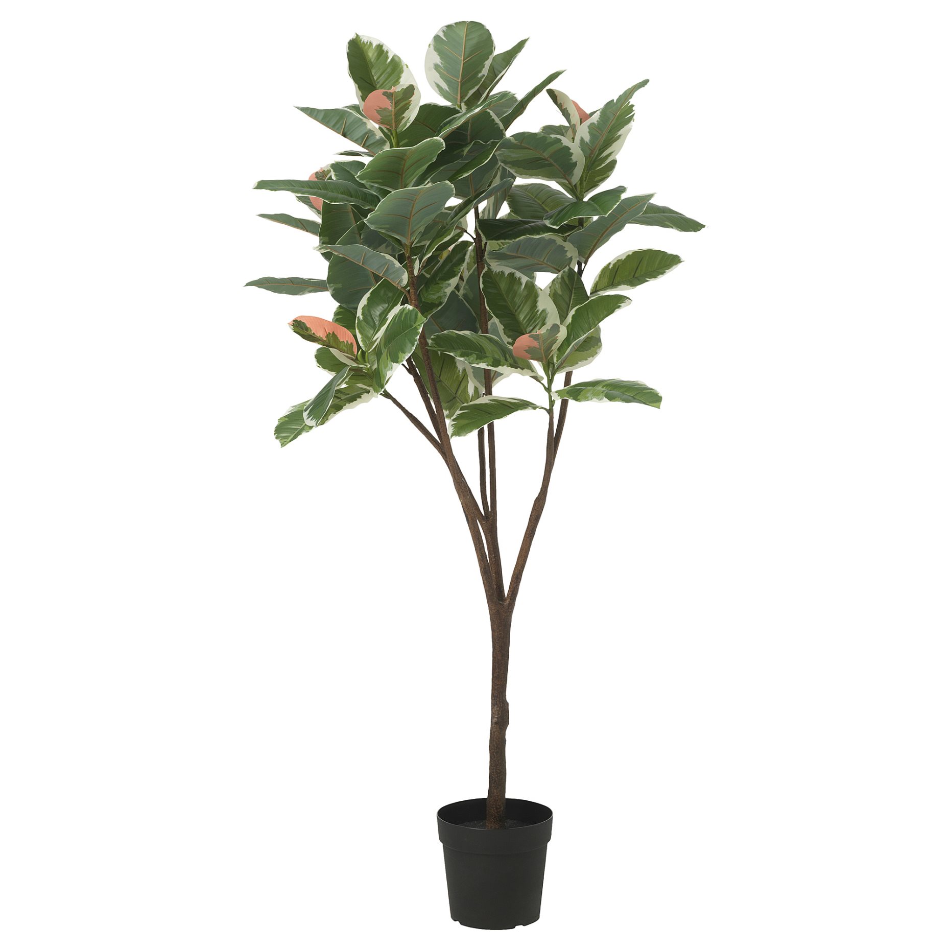 FEJKA, artificial potted plant/in/outdoor/Rubber plant, 23 cm, 605.483.13