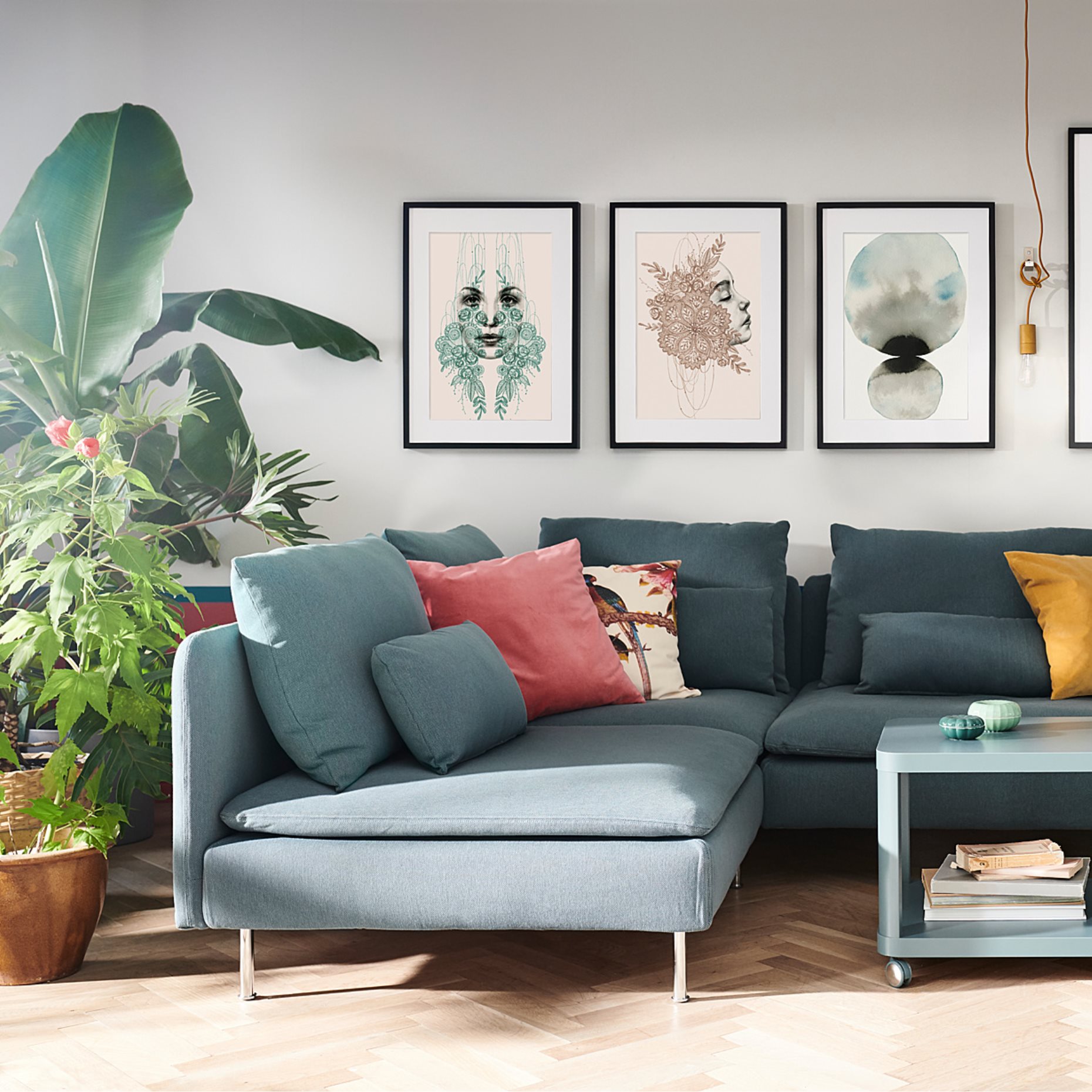 KNOPPÄNG, κορνίζα, 50x70 cm, 703.871.40