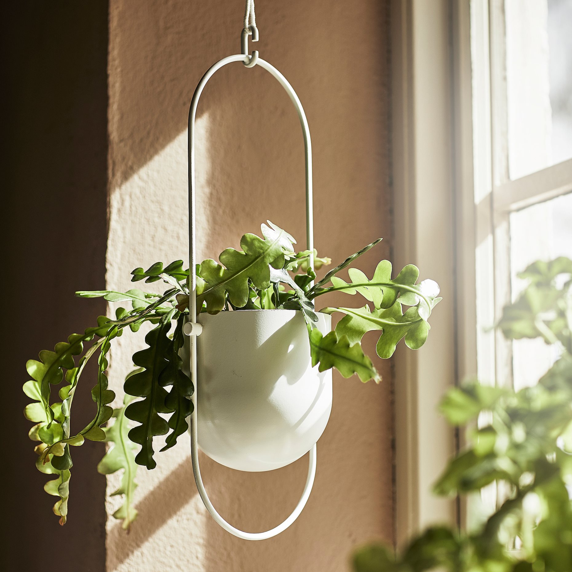 CHILISTRÅN, hanging planter in/outdoor, 12 cm, 704.922.64