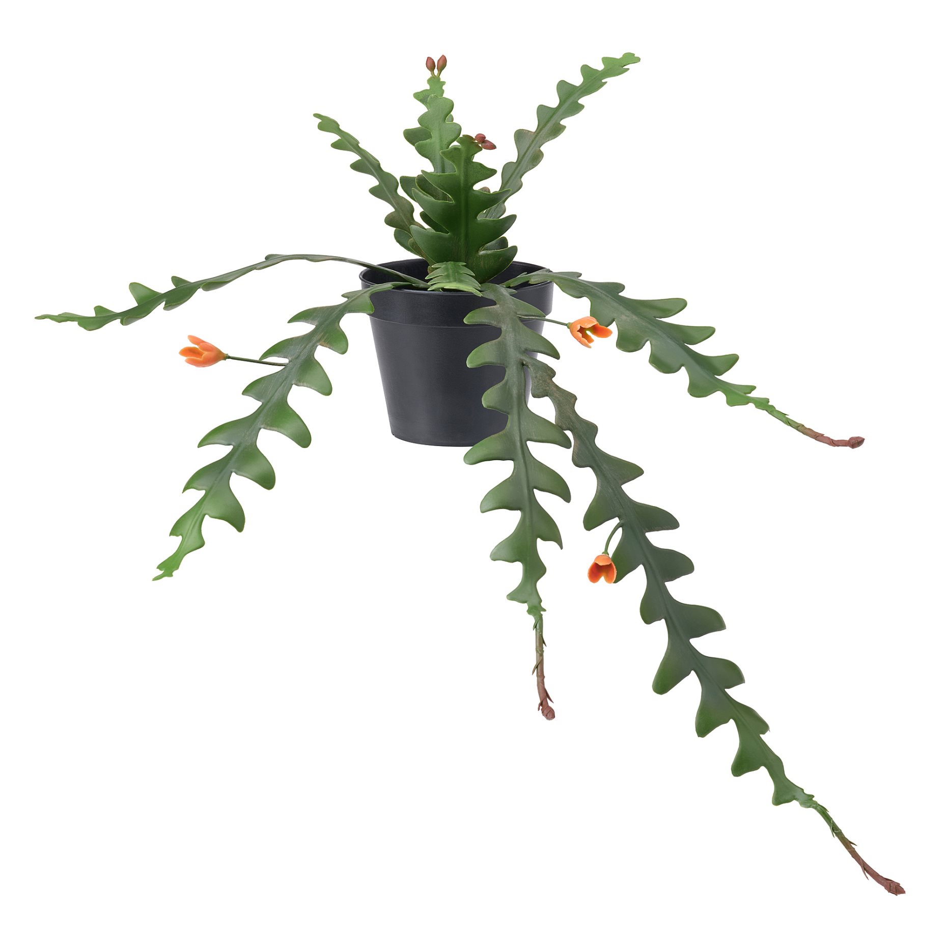 FEJKA, τεχνητό φυτό σε γλάστρα εσωτερικού/εξωτερικού χώρου/Επίφυλλο κρεμαστό, 12 cm, 705.229.87