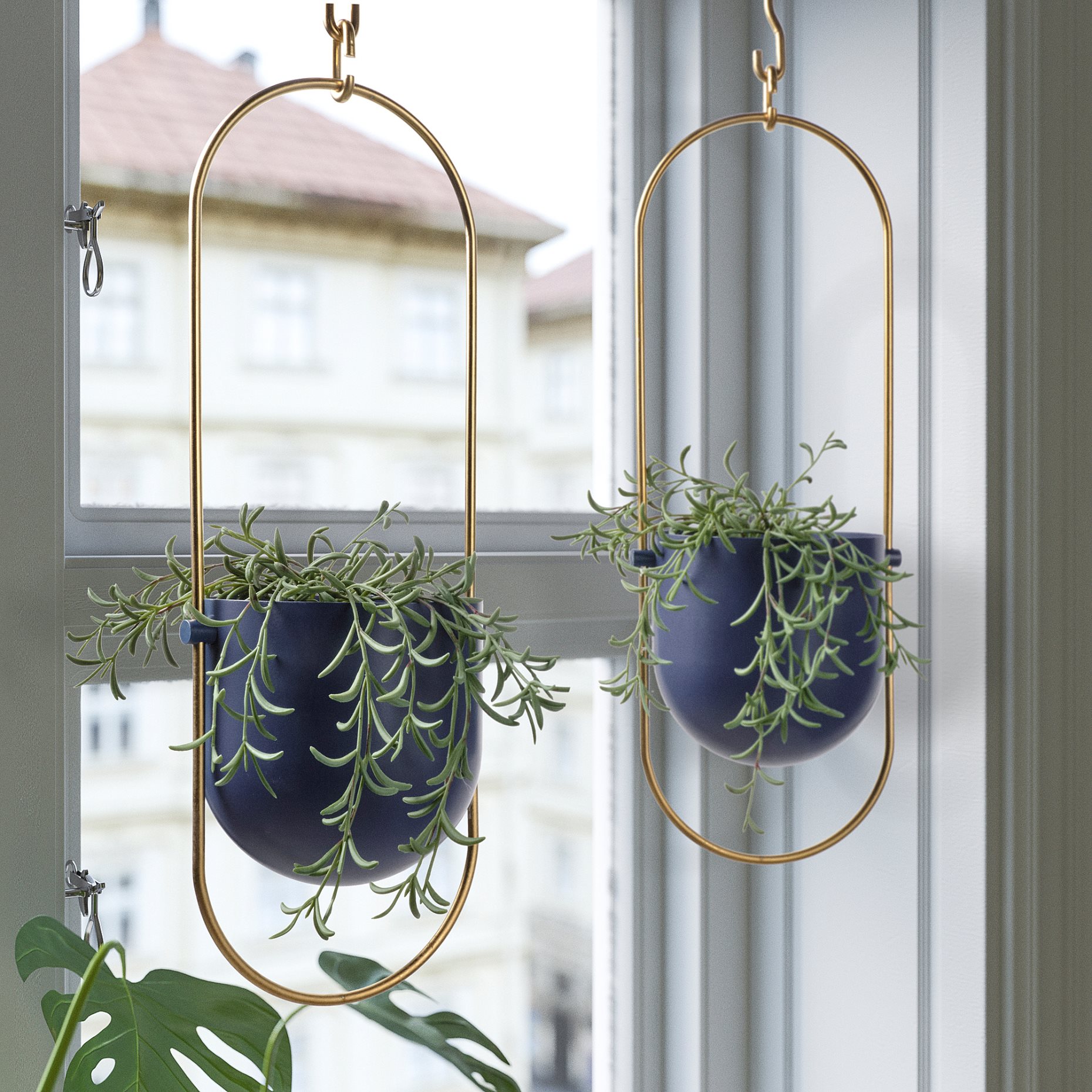 CHILISTRÅN, hanging planter/in/outdoor, 12 cm, 705.360.17