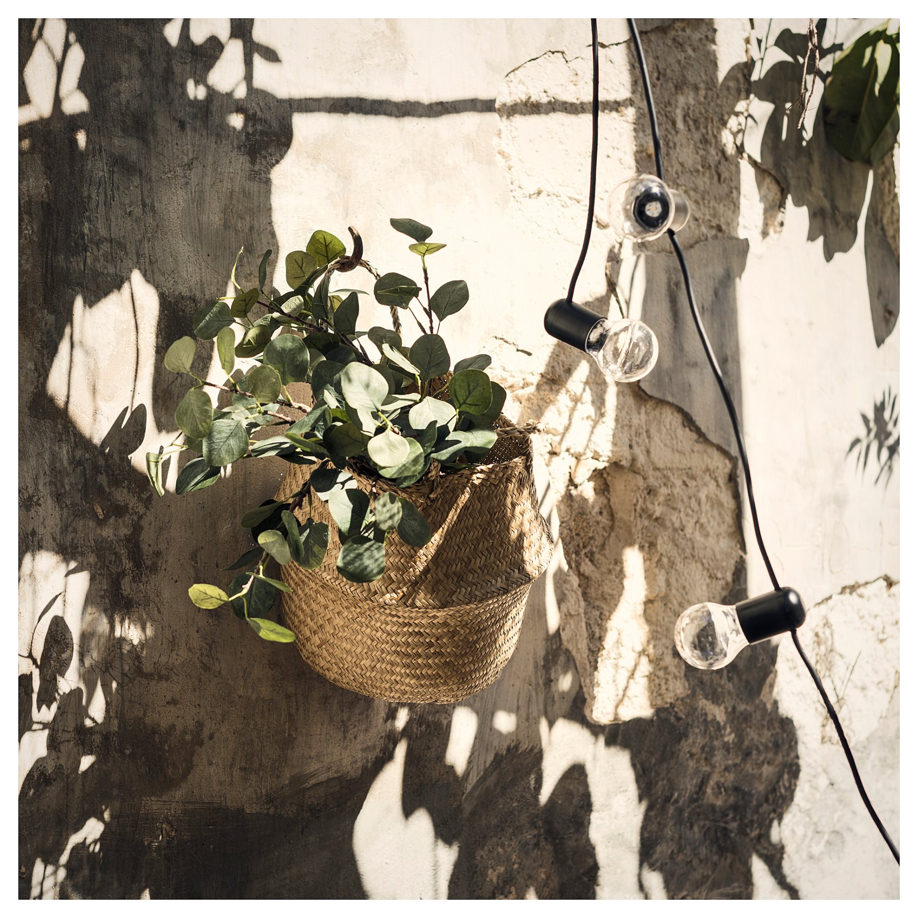 SMYCKA, τεχνητό λουλούδι, Ευκάλυπτος, 803.357.73