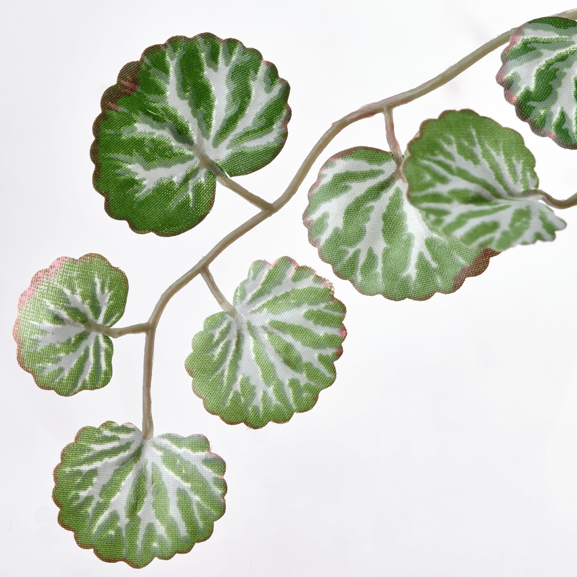 FEJKA, τεχνητό φυτό σε γλάστρα/εσωτερικού/εξωτερικού χώρου, 6 cm, 905.380.01