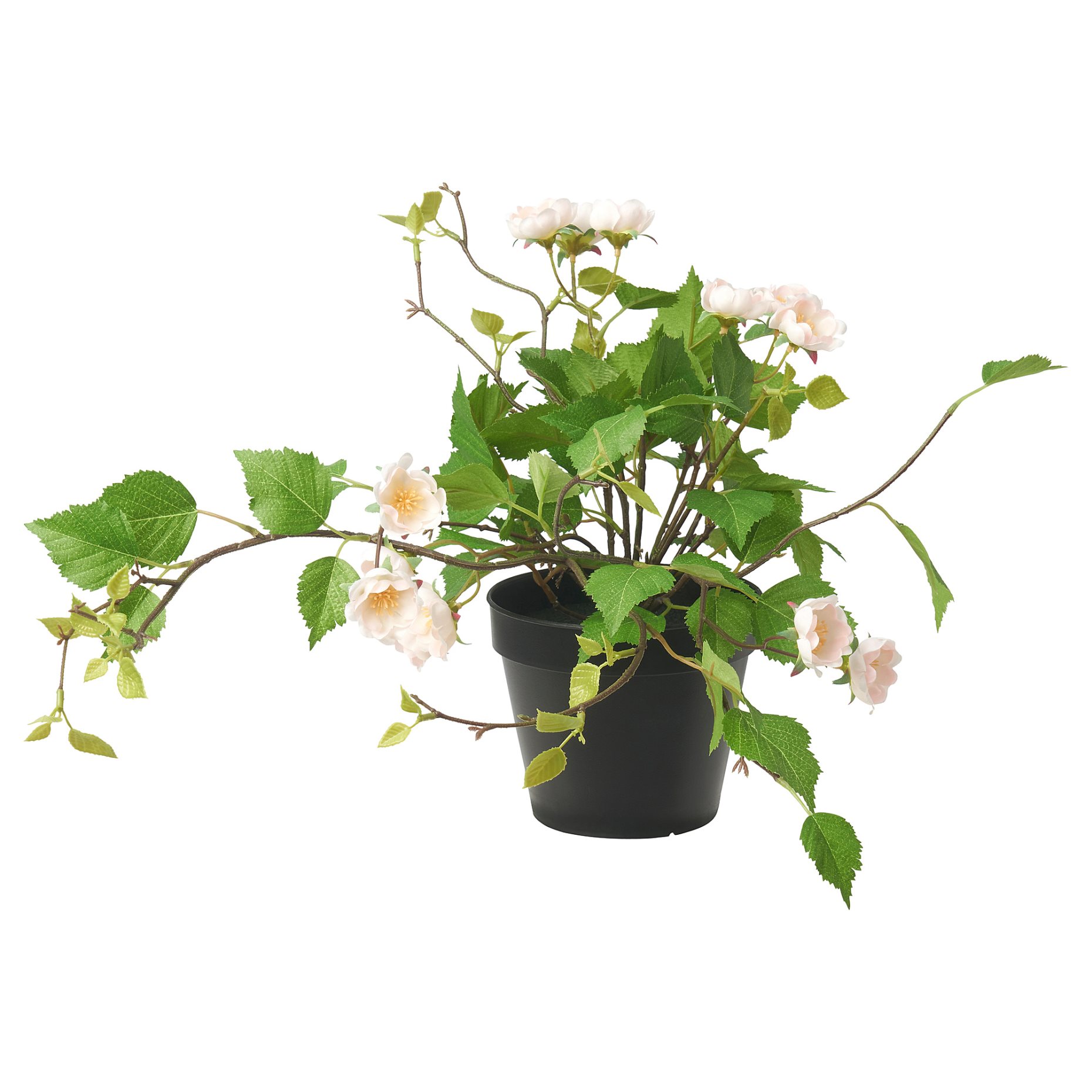 FEJKA, τεχνητό φυτό σε γλάστρα/εσωτερικού/εξωτερικού χώρου/Τριαντάφυλλο, 12 cm, 905.716.89