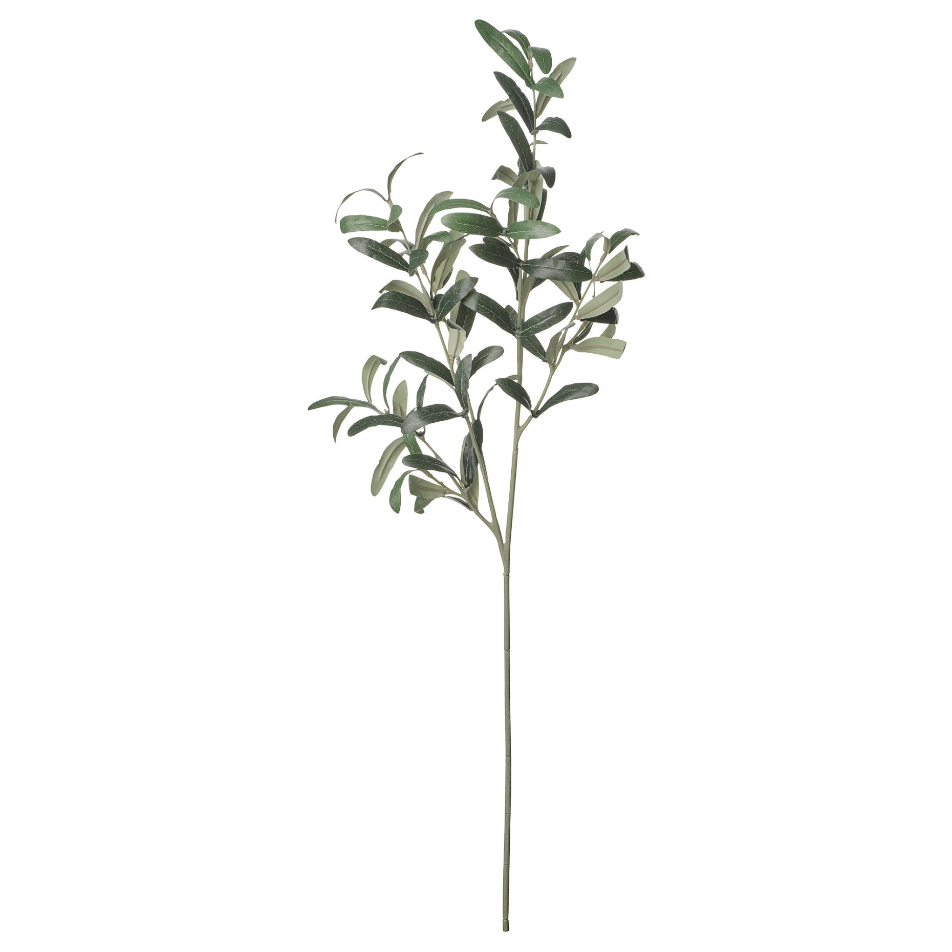 SMYCKA, artificial flower in/outdoor/olive branch, 75 cm, 906.059.72