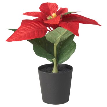 VINTERFINT, artificial potted plant with pot/in/outdoor Poinsettia, 6 cm, 005.621.37