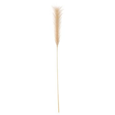 SMYCKA, τεχνητό λουλούδι/Χλόη Pampas, 86 cm, 105.303.58