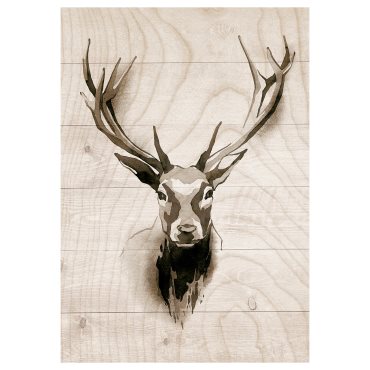 PJÄTTERYD, πίνακας/Όψη ξύλου, 70x100 cm, 105.365.53