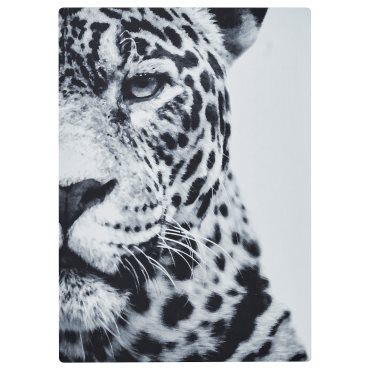 SYMFONISK, πάνελ για κορνίζα με ηχείο/Τζάγκουαρ, 105.478.63