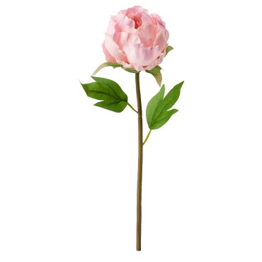 SMYCKA, τεχνητό λουλούδι, Παιωνία, 304.098.27