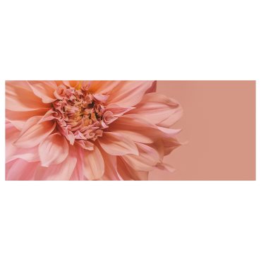 BJÖRKSTA, picture/flowers-in pink, 140x56 cm, 905.789.16