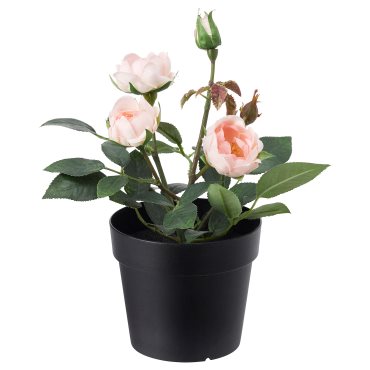FEJKA, artificial potted plant in/outdoor, Rose, 003.953.13