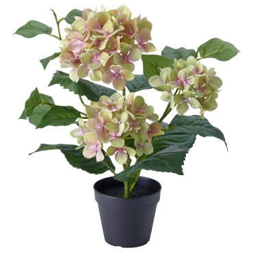 FEJKA, artificial potted plant in/outdoor/hydrangea, 12 cm, 106.177.66