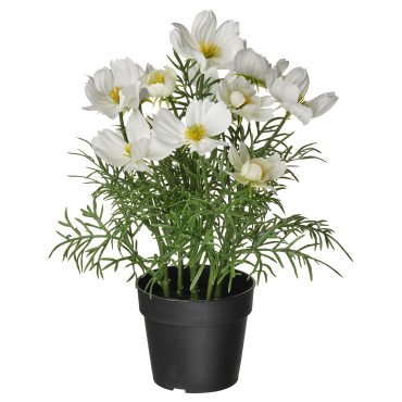 FEJKA, artificial potted plant in/outdoor/cosmos, 9 cm, 406.177.84
