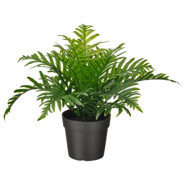 FEJKA, artificial potted plant in/outdoor Whitley Giant, 9 cm, 504.933.49