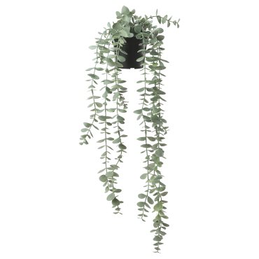 FEJKA, artificial potted plant  in/outdoor hanging/eucalyptus, 9 cm, 704.668.11