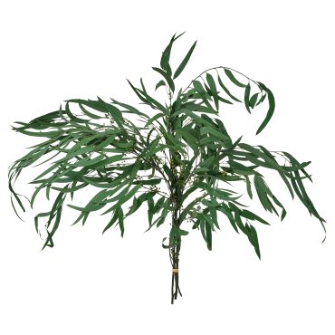 TORKA, αποξηραμένα φυτά/δέσμη, 70 cm, 706.381.34