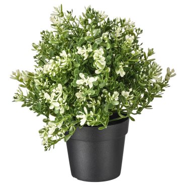 FEJKA, artificial potted plant, 903.751.55