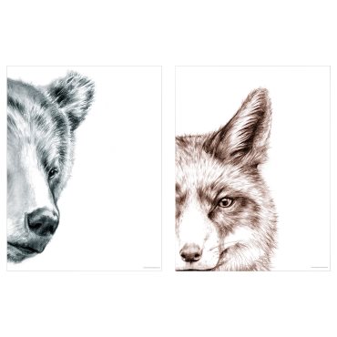 BILD, poster/bear and fox, 30x40 cm, 005.835.64