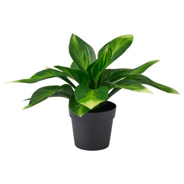 FEJKA, artificial potted plant in/outdoor/plantain lily, 9 cm, 006.107.51