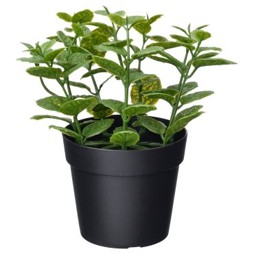 FEJKA, artificial potted plant in/outdoor Mint, 9 cm, 206.008.50