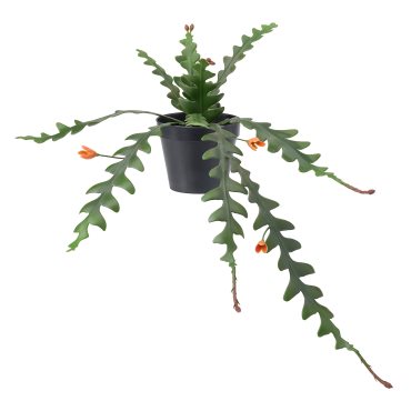 FEJKA, artificial potted plant in/outdoor/Sawcactus hanging, 12 cm, 705.229.87