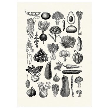 BILD, poster/various vegetables, 50x70 cm, 706.019.94