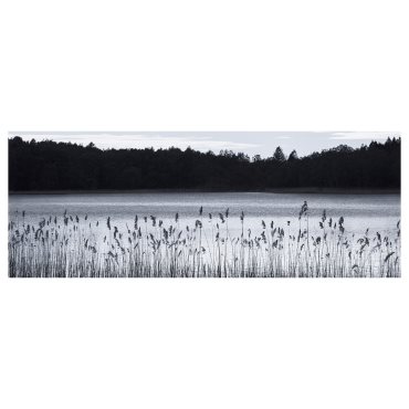 BJÖRKSTA, καμβάς λίμνη δάσους, 140x56 cm, 104.798.64