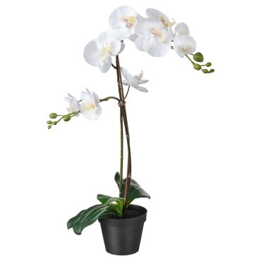 FEJKA, artificial potted plant, 802.859.09