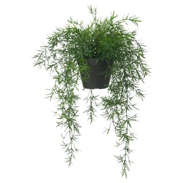 FEJKA, artificial potted plant/in/outdoor Asparagus/hanging, 12 cm, 005.716.79