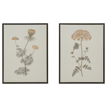 BLODFLÄDER, picture/floral simplicity/2 pack, 30x40 cm, 006.234.71