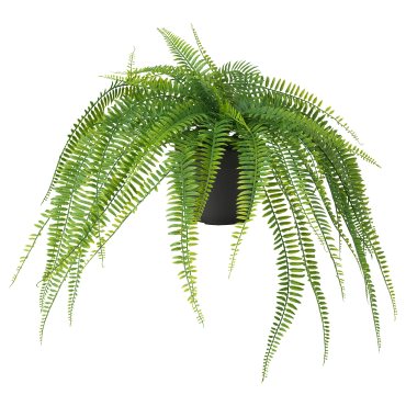 FEJKA, τεχνητό φυτό σε γλάστρα/εσωτερικού/εξωτερικού χώρου/κρεμαστό/φτέρη, 12 cm, 105.486.31