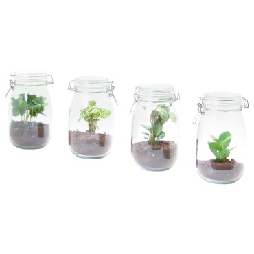 BLADVERK, plant terrarium, jar 1.8 l, 304.862.79