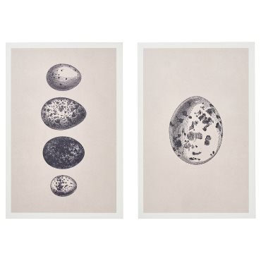 BJÖRNAMO, art print on hollow wood/Eggs, 20x30 cm, 305.332.14