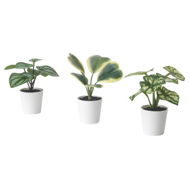 FEJKA, artificial potted plant with pot in/outdoor begonia, set of 3, 305.596.47